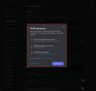 An example of a window on Discord.